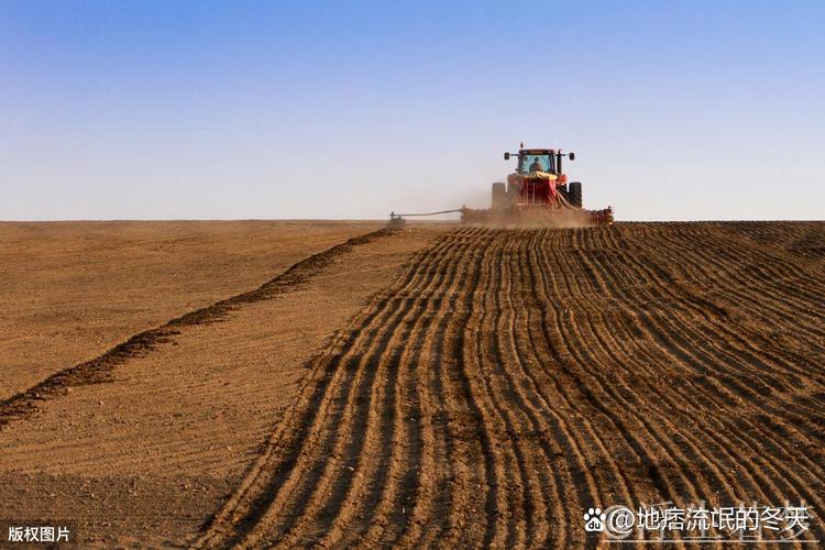 全国春播粮食面积已超3500万亩